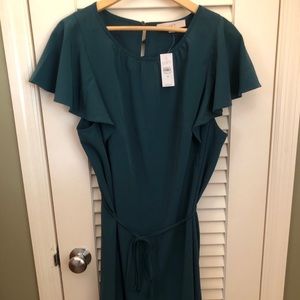 LOFT teal flutter sleeve dress